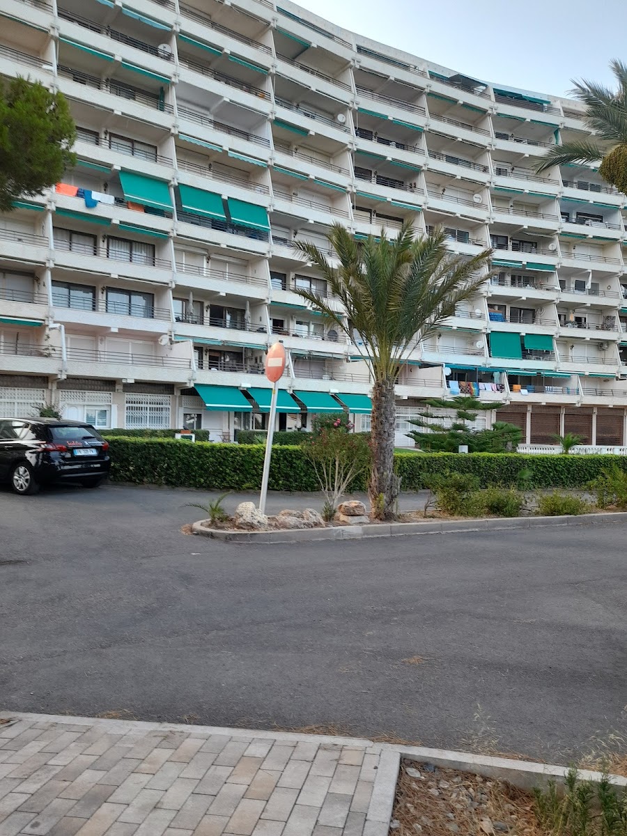 La Piña de Miami