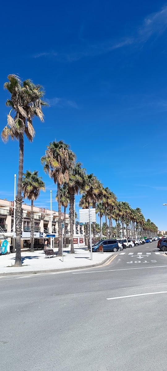 Mediterraneo